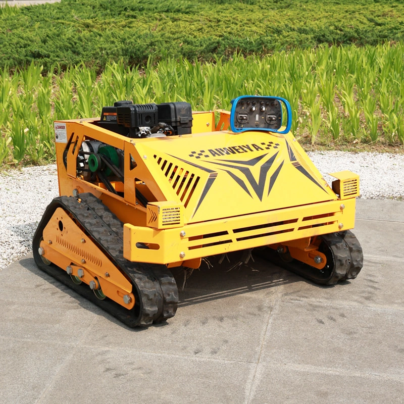 Slope Maintenance