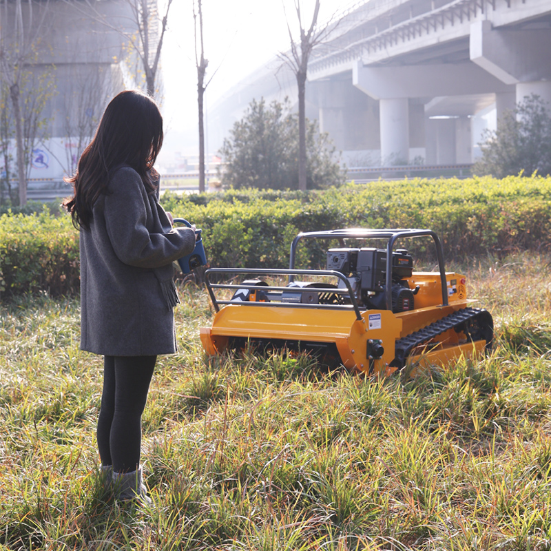 Municipal Landscaping