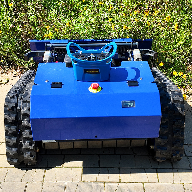 Mower with Snowplow