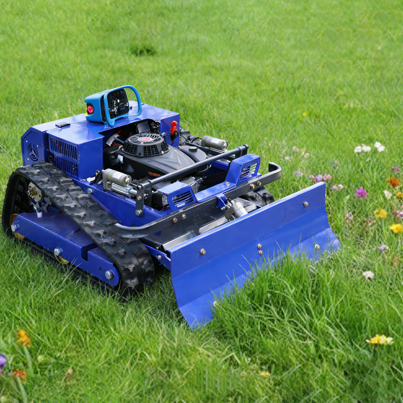 Commercial Green Spaces & Public Lawns